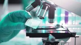 Risultati del test per i parassiti