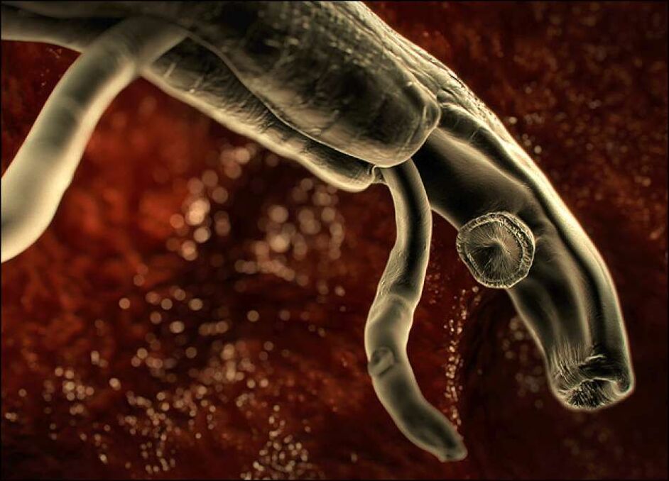 parassiti all'interno del corpo umano