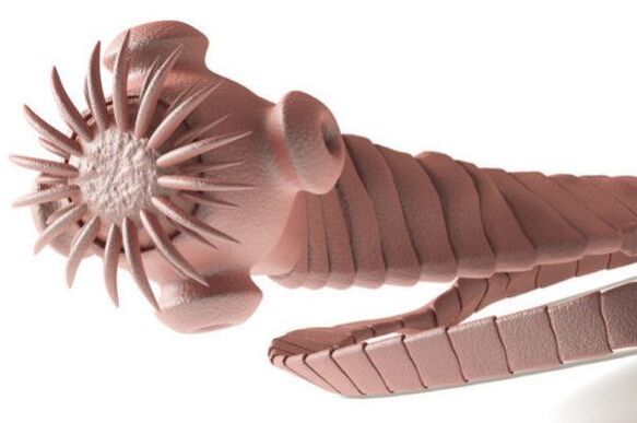 parassita dal corpo umano